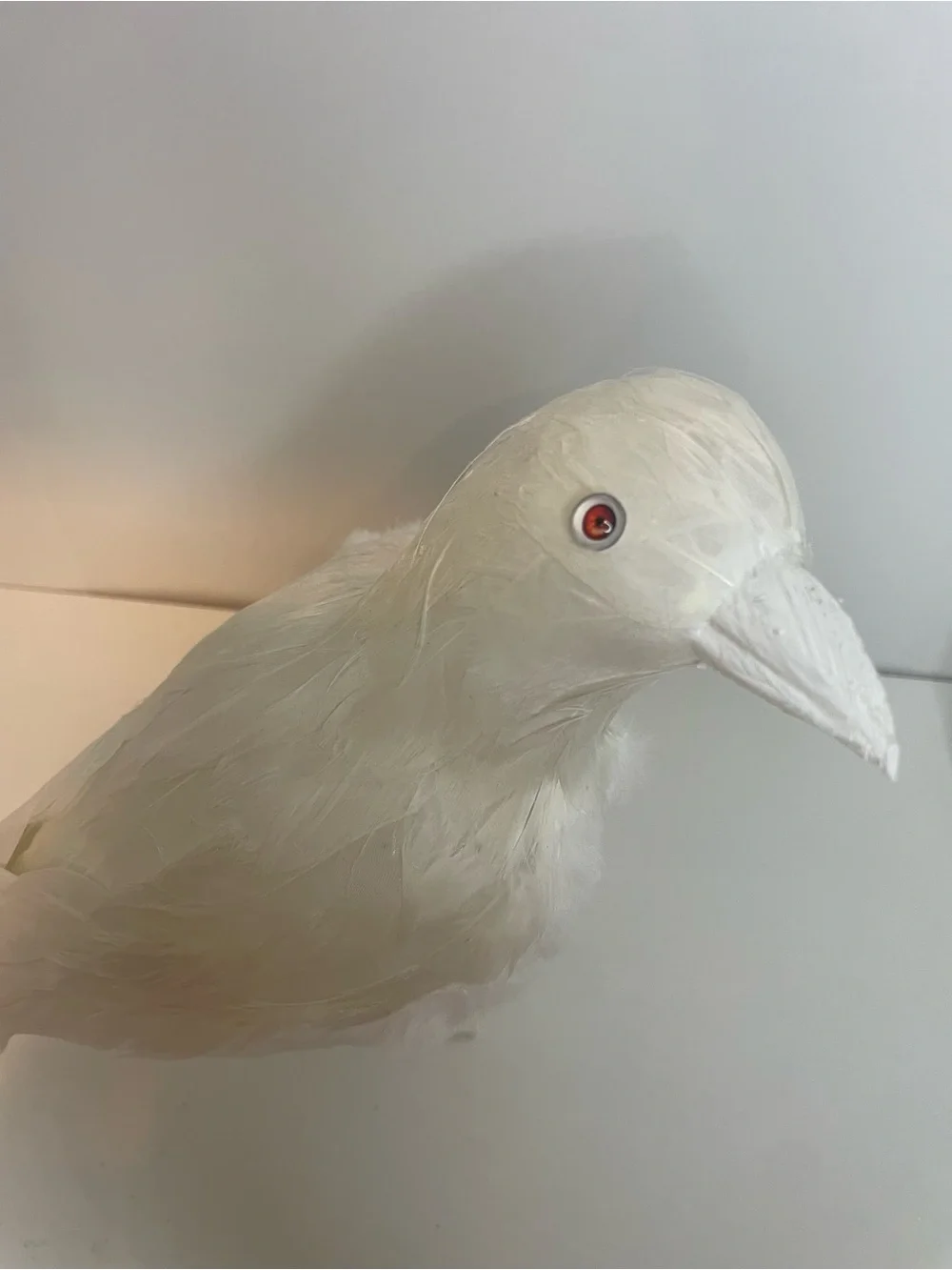 Halloween Decor - White Raven, White Crow Decorative Bird Accent